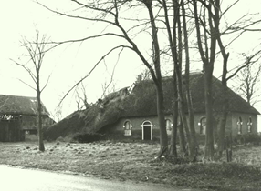 D:\Berend\Bureaublad\1972.jpg